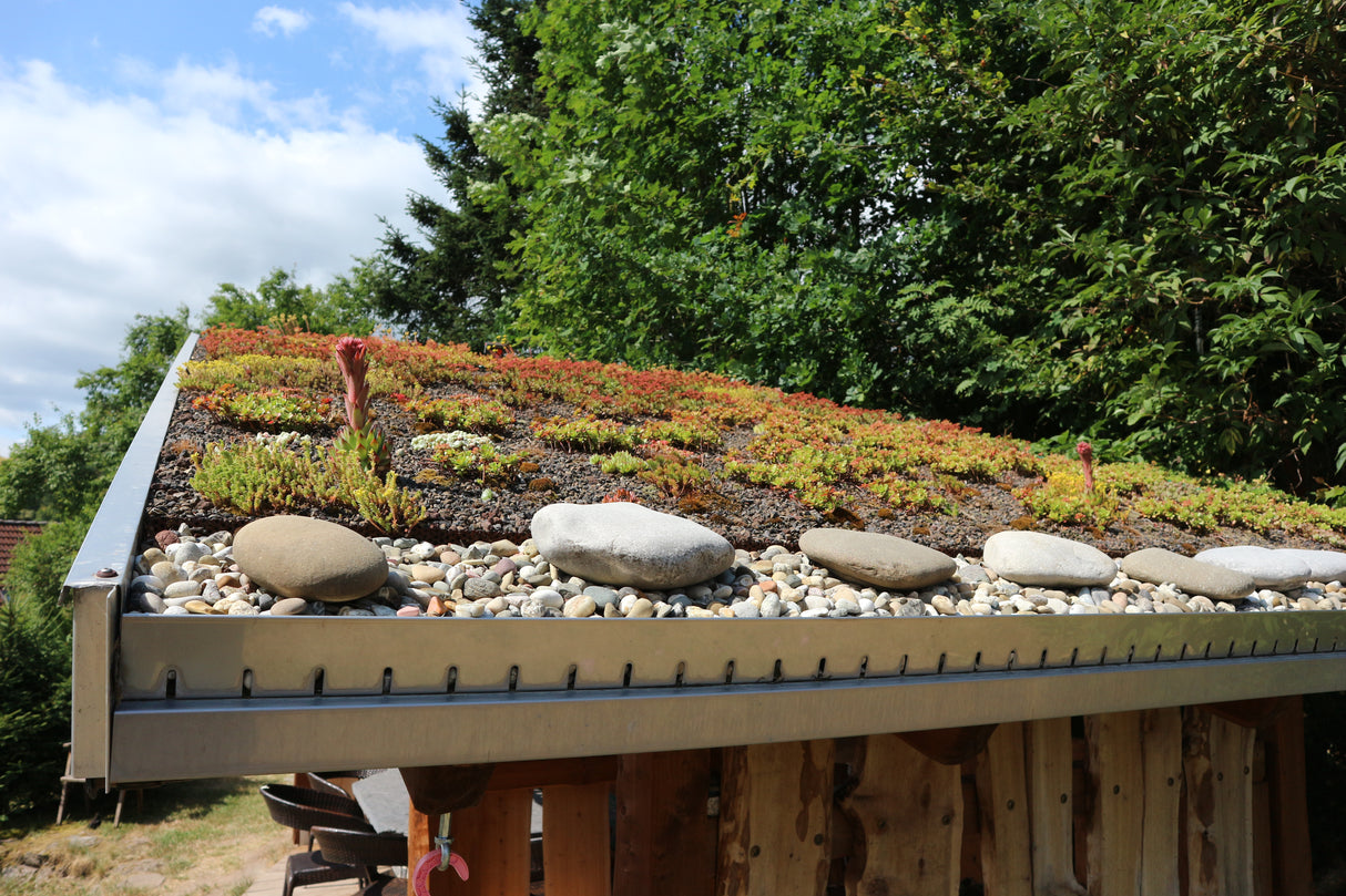 Green roof economy set "light" for 0-5° roof pitch